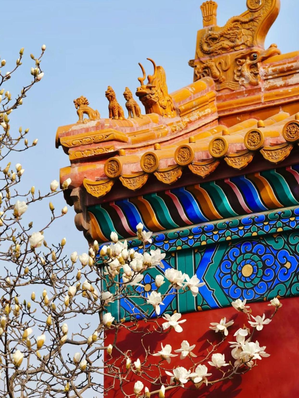 בייג'ינג Happy Dragon Courtyard- Newly Renovated With French Windows, Near Tian'Anmen Forbidden City,Lama Temple And Heaven Temple, 3Minutes Walk From Subway,Fluent English Speaking With Tourist Sights Tickets Service ,Free Coffee &Laundry Service מראה חיצוני תמונה
